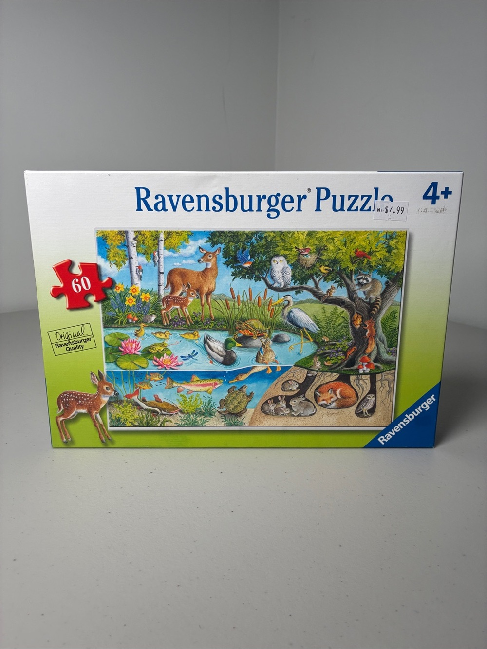 Ravensburger Puzzle Woodland Pond with Bright Green Border and Blue Accents